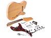 Saga&nbsp;MT-10 Electric Mandolin Kit