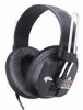 Fostex&nbsp;T20RP mkII
