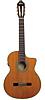 Washburn&nbsp;C104SCE