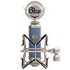 Blue&nbsp;Bluebird