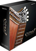 MOTU&nbsp;Ethno Instrument 2