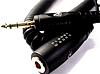 Planet Waves&nbsp;PW-EXT-HD-10 Coiled Headphone Extension Cable