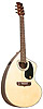 Giannini&nbsp;GWSCRA6 EL