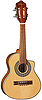 Giannini&nbsp;GCSM 4 CTE
