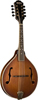 Washburn&nbsp;M116SWK
