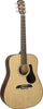Alvarez&nbsp;RD210 Dreadnought