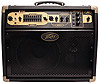 Peavey&nbsp;Ecoustic E110