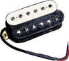 EVH&nbsp;Wolfgang Bridge Pickup