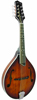 Gold Tone&nbsp;GM-55A