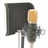 Post Audio&nbsp;Ambient Room Filter 42