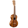 Martin&nbsp;C1K