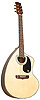 Giannini&nbsp;GWSCRA6 - Brazilian Craviola