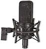 Audio Technica&nbsp;AT4033 /CL