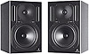Behringer TRUTH B2030P (passive) Behringer TRUTH B2030P (passive)