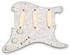 EMG&nbsp;David Gilmour DG20 System