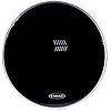 Evans&nbsp;EQ2  22 Inch Bass
