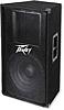 Peavey&nbsp;PV115