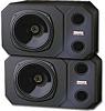 Tannoy&nbsp;System 1200 (passive)
