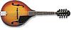 Washburn&nbsp;M1S