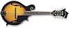 Washburn&nbsp;M3SW