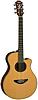 Yamaha&nbsp;APX5A - Natural