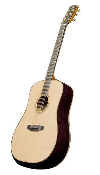 TB-24-G Dreadnought Acoustic Guitar
