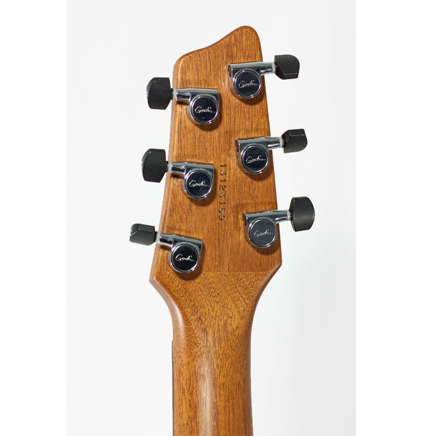 Rear Headstock Detail