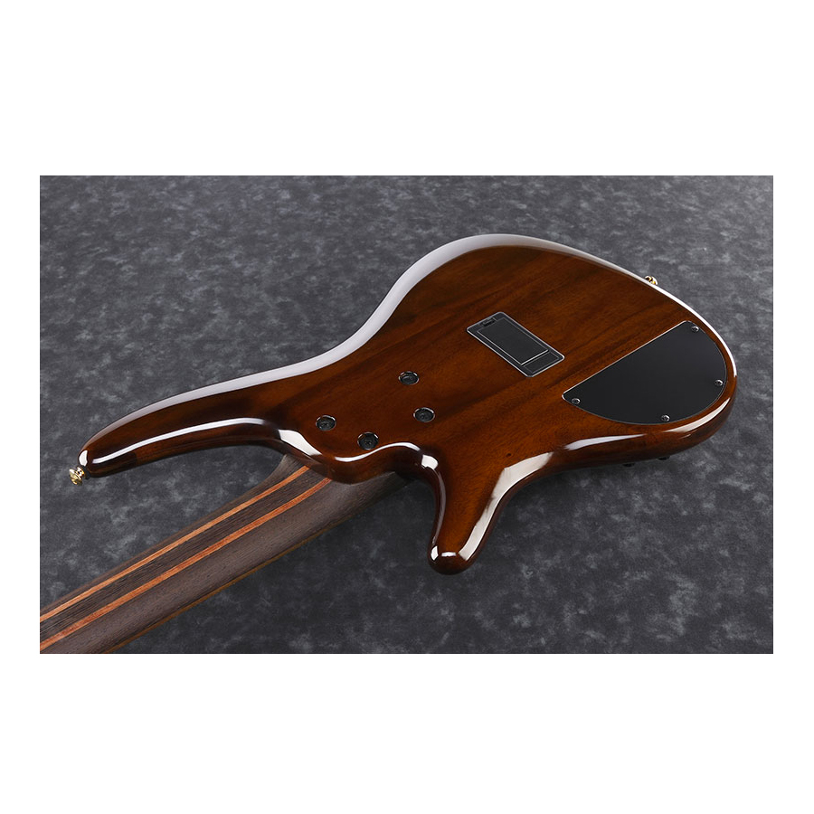 Rear Angled View