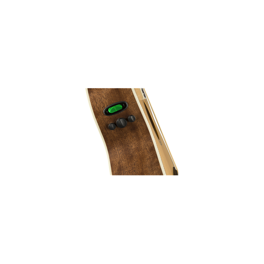Preamp Detail
