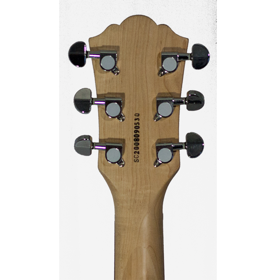 Rear Headstock Detail