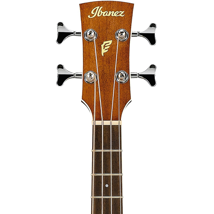 Headstock Detail