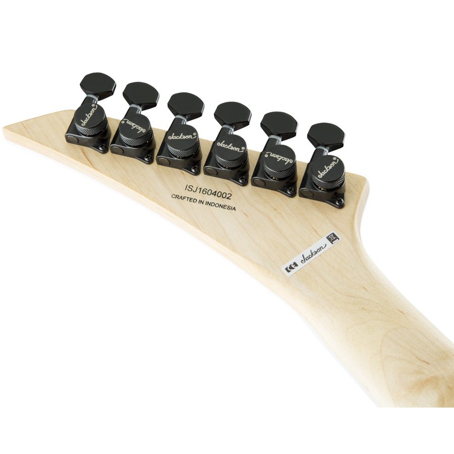 Rear Headstock Detail