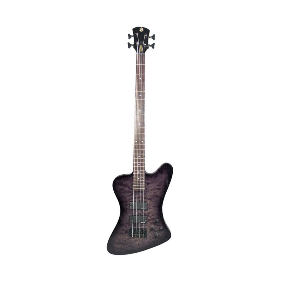 Legend 4x Classic - Black Stain Gloss