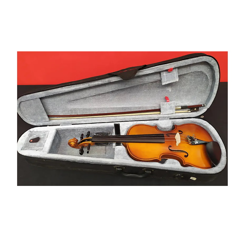 VBSO 14 inch sized Viola Outfit